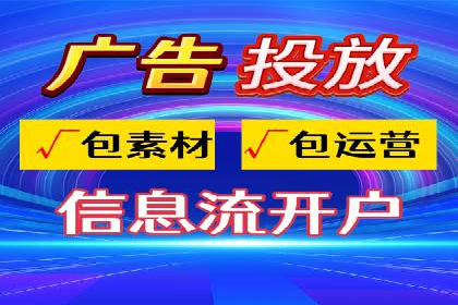 百度竞价广告投放全解析：成功案例揭秘